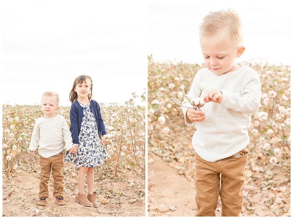 Cotton Field Family Photos