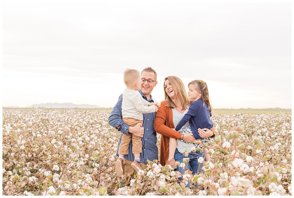 Cotton Field Photos