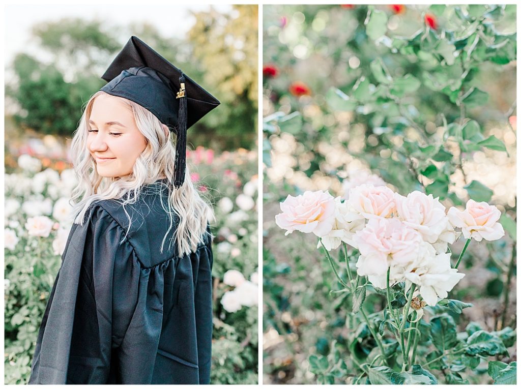 rose garden senior photos, pink rose bush at MCC rose garden