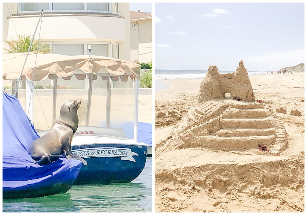 seal and sand castle in Newport Beach