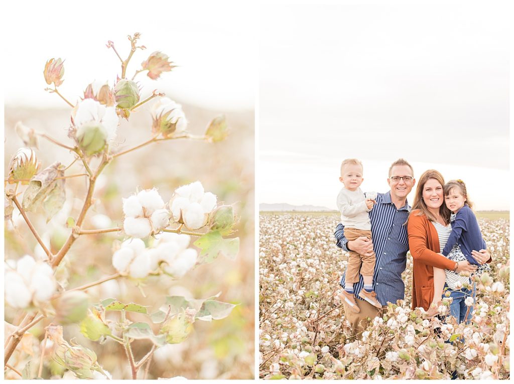 Cotton Field Family Photos