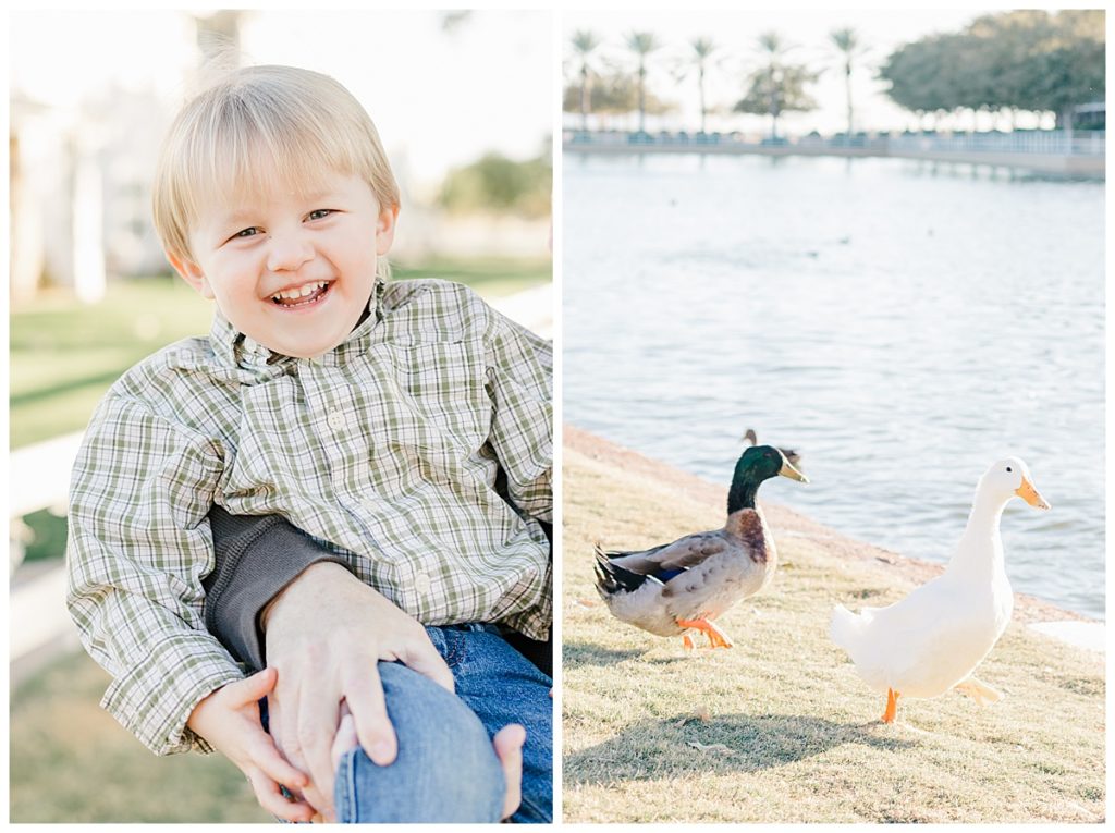 Little boy and ducks at Morrison Ranch