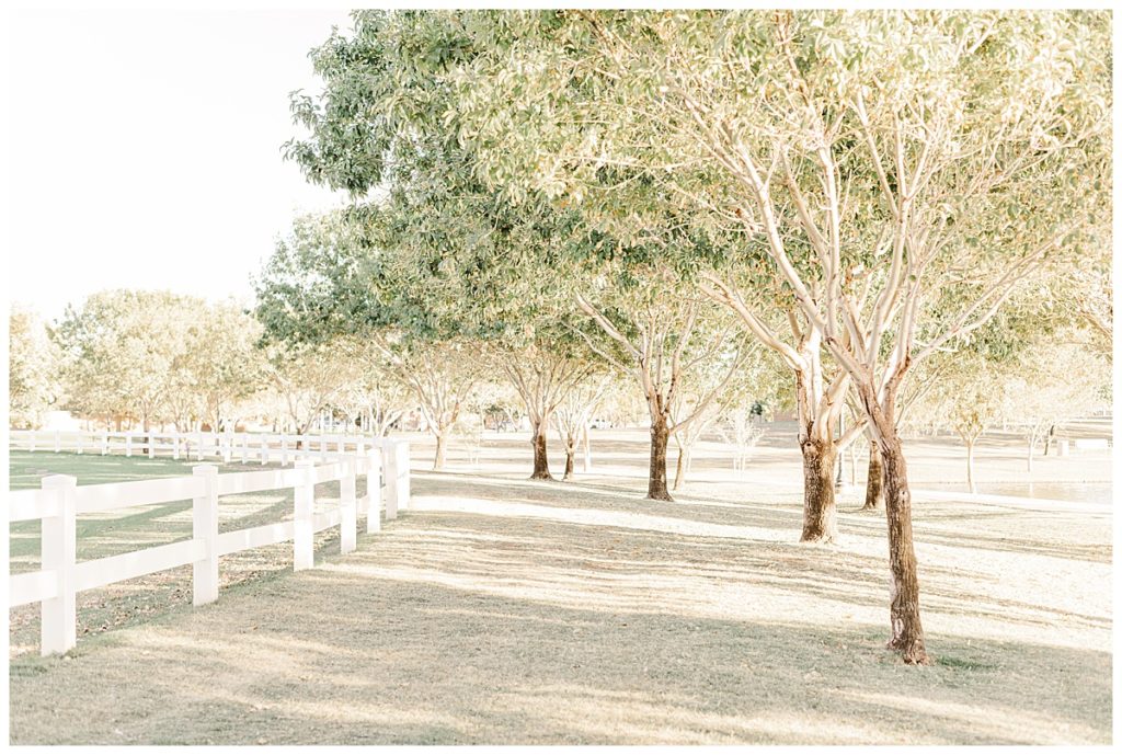 Morrison Ranch, green grass, white picket fences, big trees