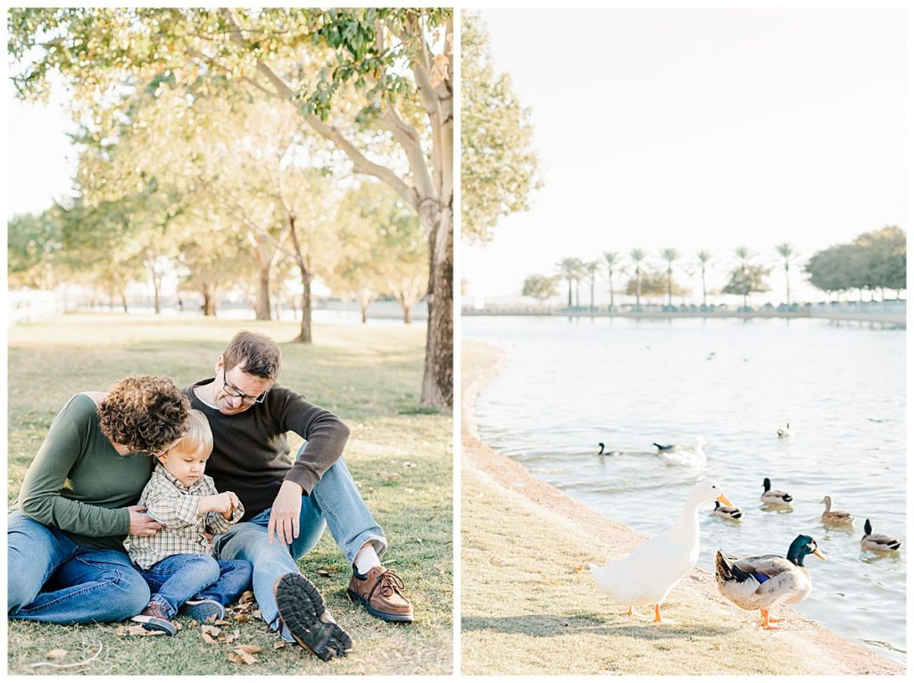 Morrison Ranch Family Photos, a mom and dad playing with little boys and fall leaves; with Ducks swimming in a lake