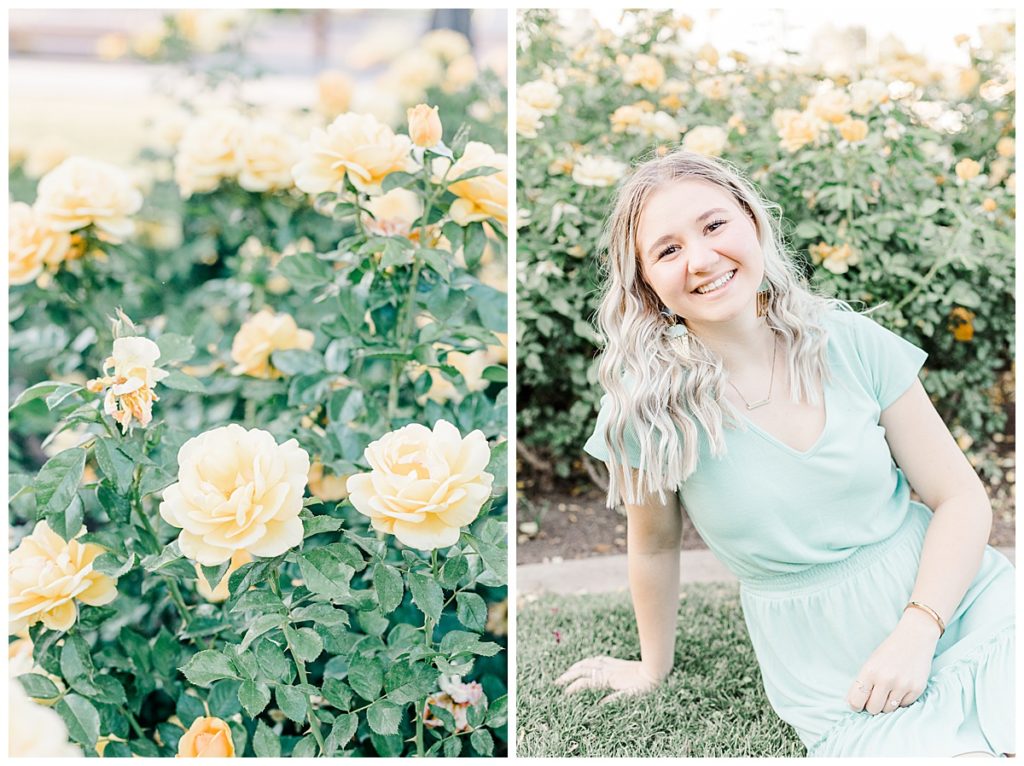 Hayley's rose garden senior photos, girl sitting infant of yellow rose bushes
