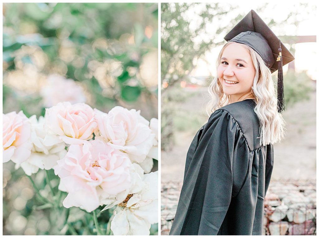 rose garden senior photos, pink rose bushes and a girl wearing a cap and gown