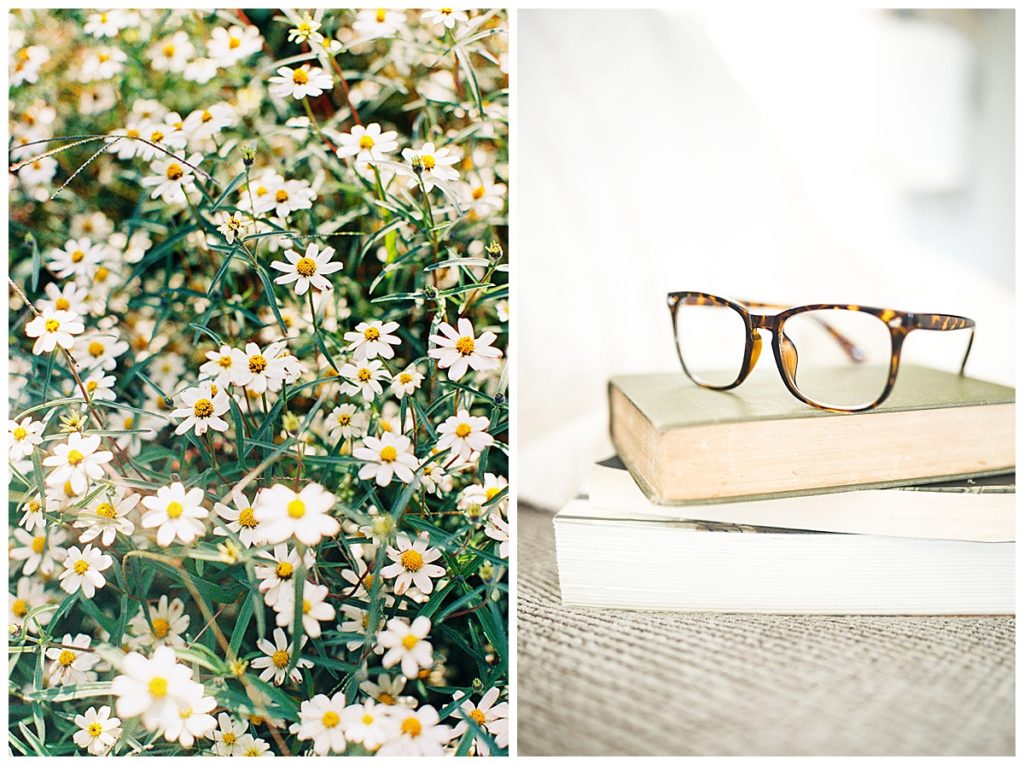 field of Daisys and the book the Ruthless Elimination of Hurry, and glasses