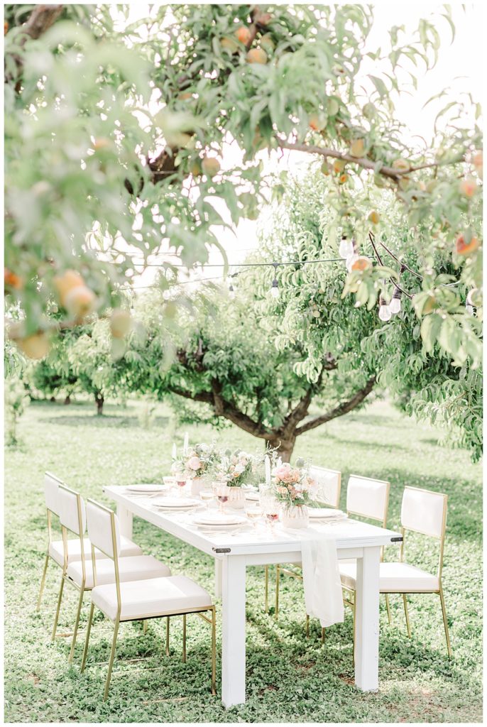 table setting, wedding reception details in the peach orchard at Argitopia Weddings, Gilbert Arizona Wedding photography, Light & Airy Photos, Bethie Grondin Photography, Spring Styled Shoot at Argitopia Weddings 