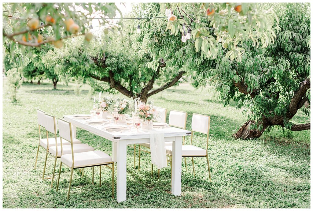 table setting, wedding reception details at Argitopia Weddings in the Peach Orchard, Gilbert Arizona Wedding photography, Light & Airy Photos, Bethie Grondin Photography, Spring Styled Shoot at Argitopia Weddings